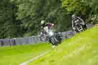 brands-hatch-photographs;brands-no-limits-trackday;cadwell-trackday-photographs;enduro-digital-images;event-digital-images;eventdigitalimages;no-limits-trackdays;peter-wileman-photography;racing-digital-images;trackday-digital-images;trackday-photos